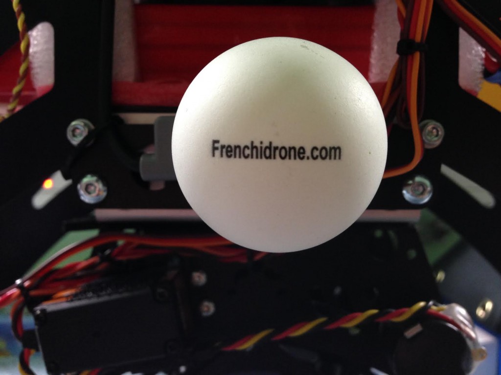 LED Frenchidrone