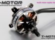 rctiger-3506-2