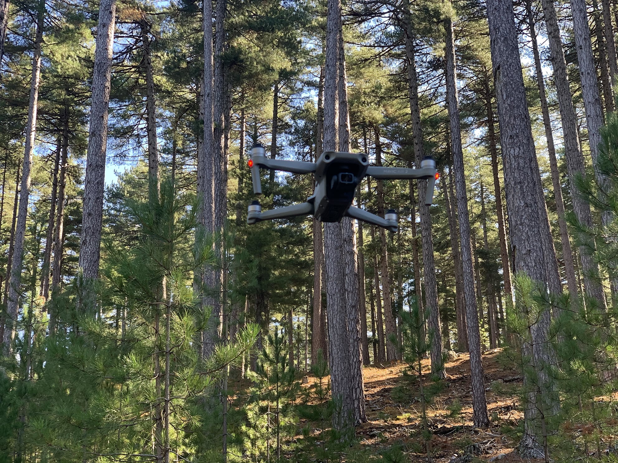 Mavic-air-2-foret-min